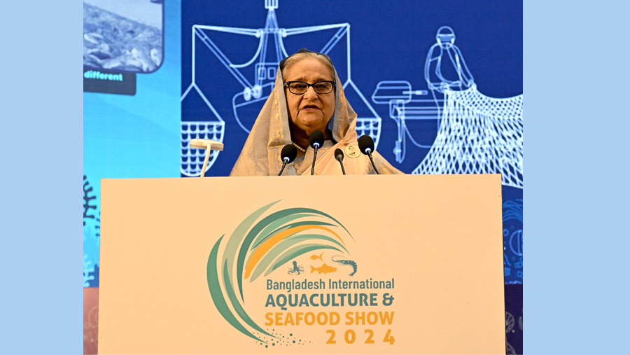 PM seeks local, foreign investments in extracting marine resources