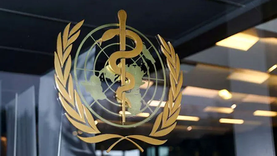 New pandemic inevitable: WHO chief