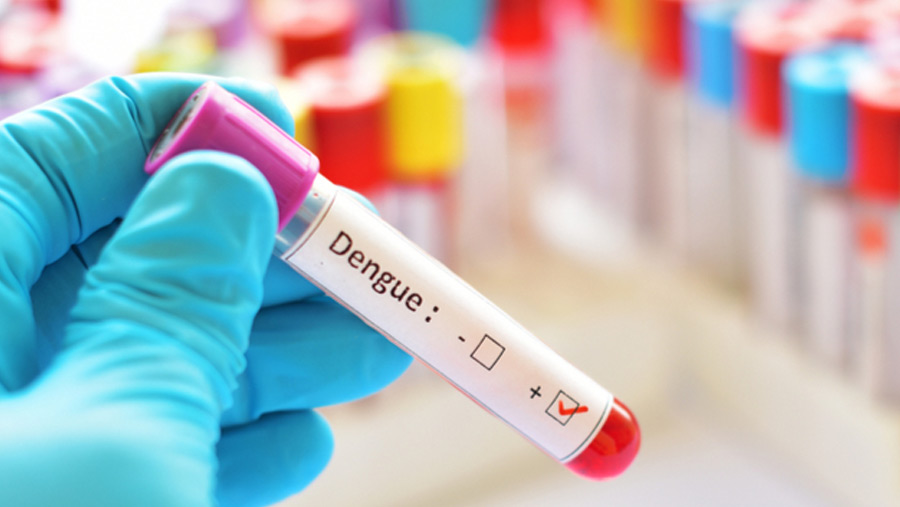 114 dengue patients hospitalized in 24hrs